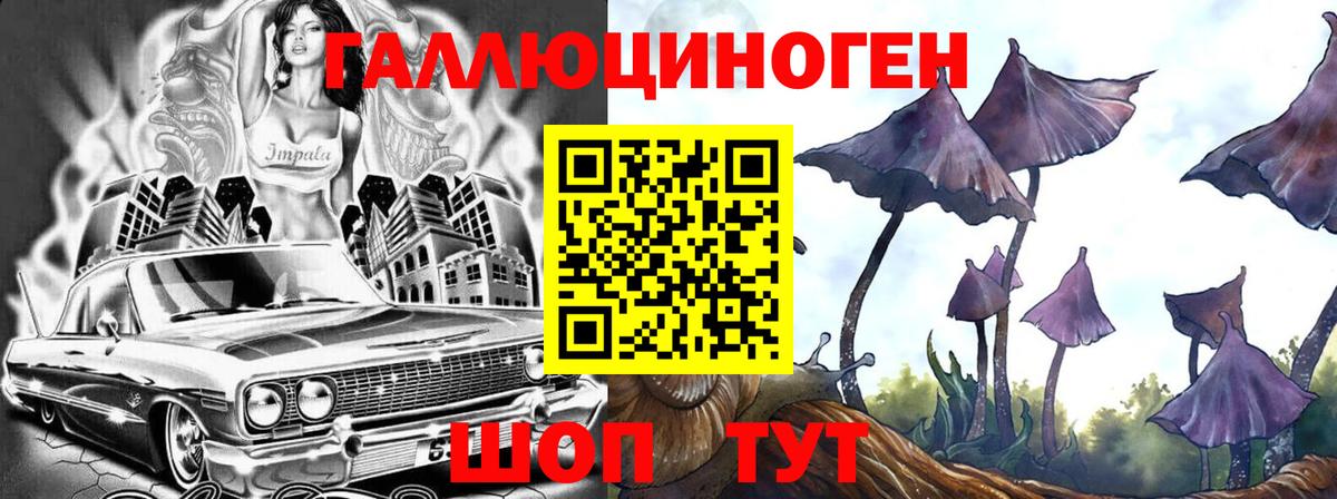 Псилоцибиновые грибы Cubensis Чебоксары