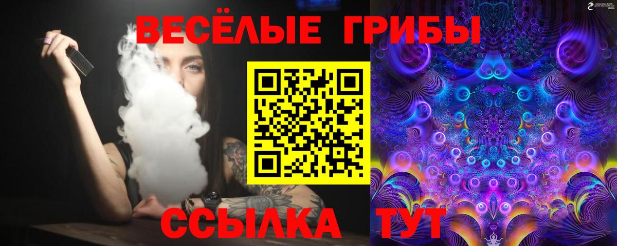 Псилоцибиновые грибы Magic Shrooms  Вход с VPN  Галлюциногенные грибы ЛСД  Чебоксары 